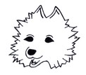 Pin Silber